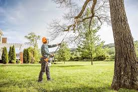 Best Weed Control  in Wantagh, NY