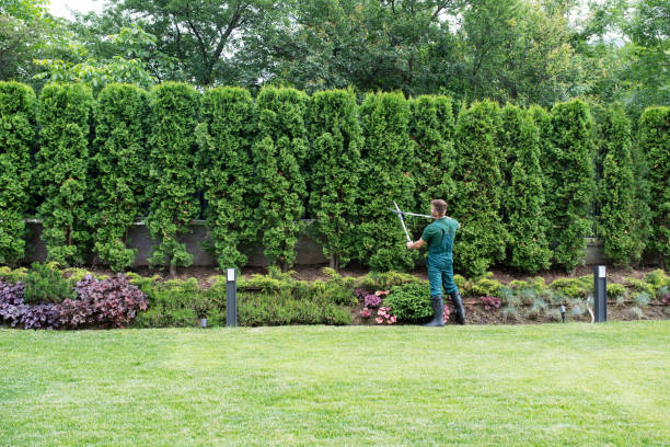 Best Tree Trimming and Pruning  in Wantagh, NY